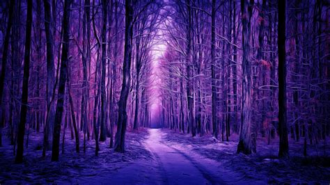 2048x1152 Resolution Purple Winter Forest 2048x1152 Resolution