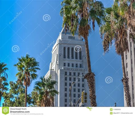 Palm Trees With Los Angeles City Hall On The Background