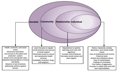 Ecological Model For Understanding Violence Against Women And Children