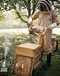 Prinzessin Kate zeigt sich als Bienenzüchterin | Leute - LZ.de