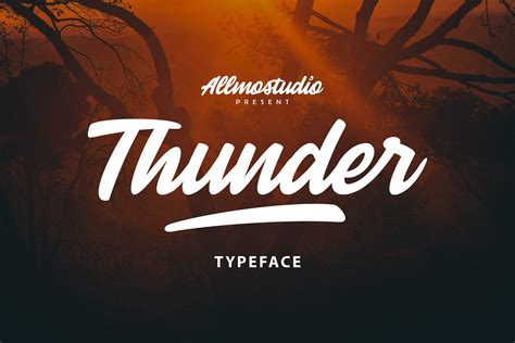 Thunder Stunning Script Fonts ~ Creative Market