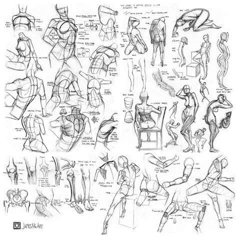 Anatomy Cheat Sheets By James Ng Album On Imgur Human Anatomy Drawing