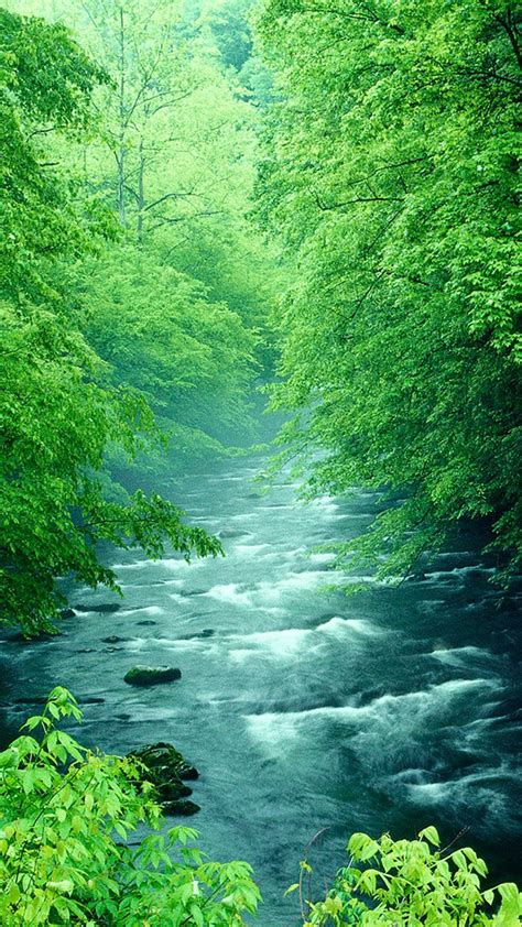 【人気193位】川 Iphone8スマホ壁紙待受画像ギャラリー 美しい風景 綺麗 景色 美しい風景写真
