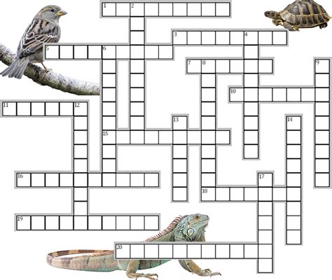 The Theory Of Evolution Crossword