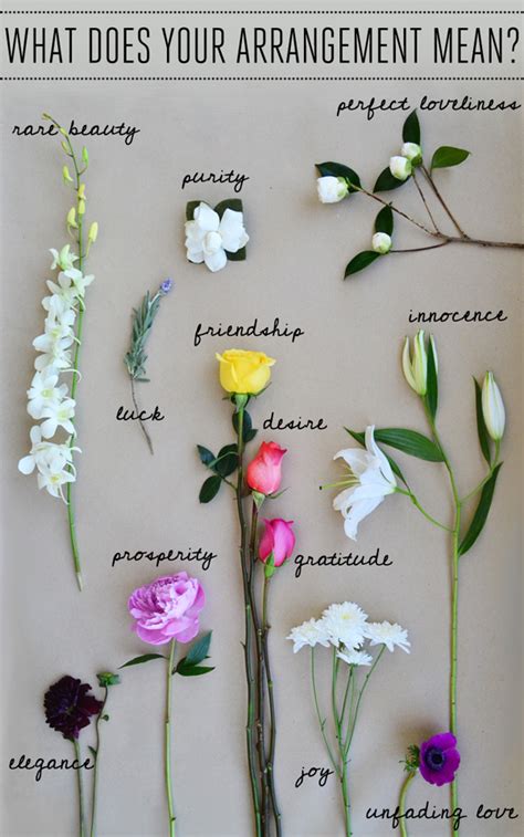 Aboutflowers.com is hosted by the society of american florists, the u.s. Explore: The Secret Language of Flowers - Lauren Conrad