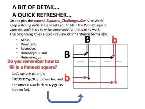Heterozygous plants have a dominant and a recessive allele (alternate form) for a given trait. PPT - Fun with Squares: Punnett Squares and Genetic ...