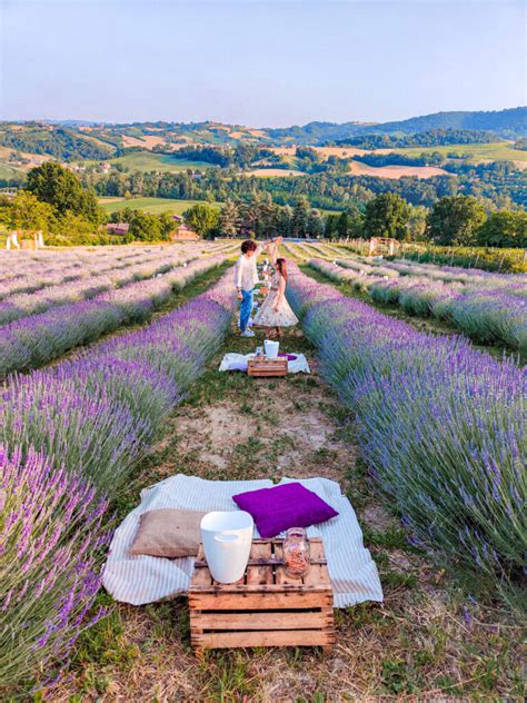 A Romantic Dinner In A Lavender Field Take My Heart Everywhere