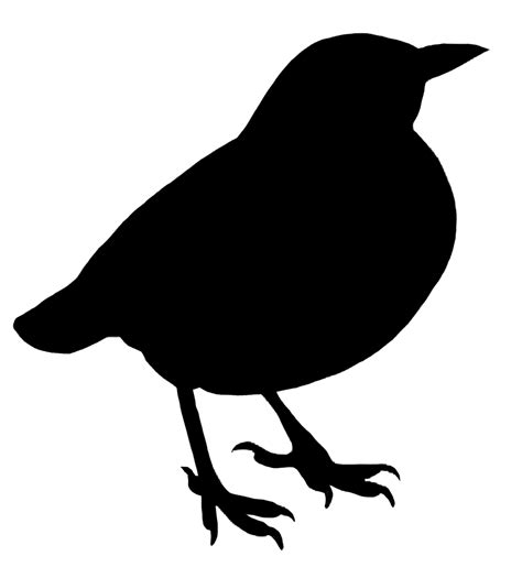 Bird Silhouette Clipart Transparent Png Stickpng