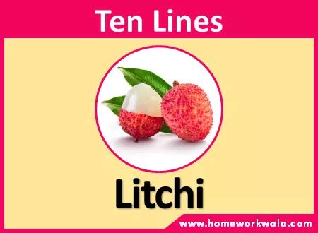 Lines On Litchi In English Best For Classes