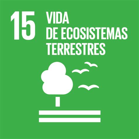 15 Vida De Ecosistemas Terrestres Red De Género Y Comercio