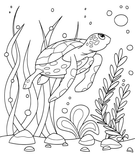 Free Turtle Coloring Page For Download Printable Pdf Coloring Home
