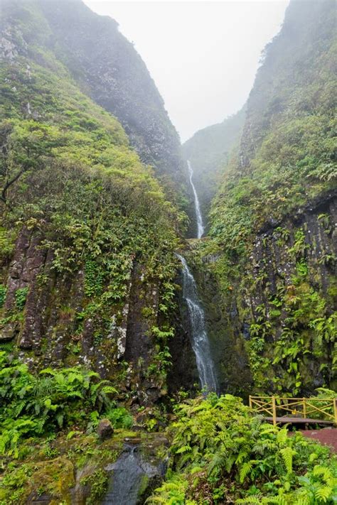 Azores Waterfalls In Flores Stock Image Image Of Flora Europe 234249219