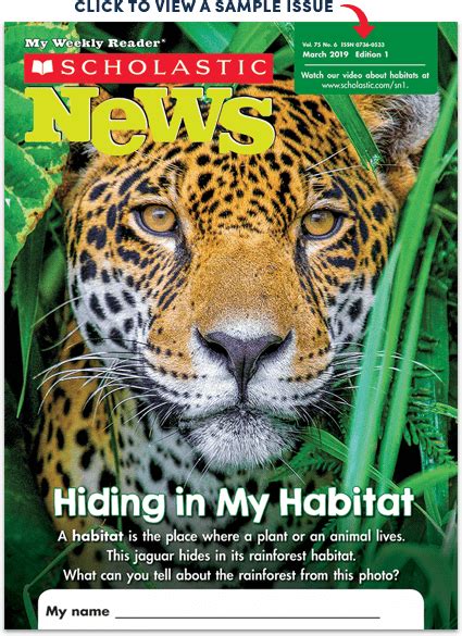 Scholastic News 1 | Scholastic, Habitats, Rainforest maths