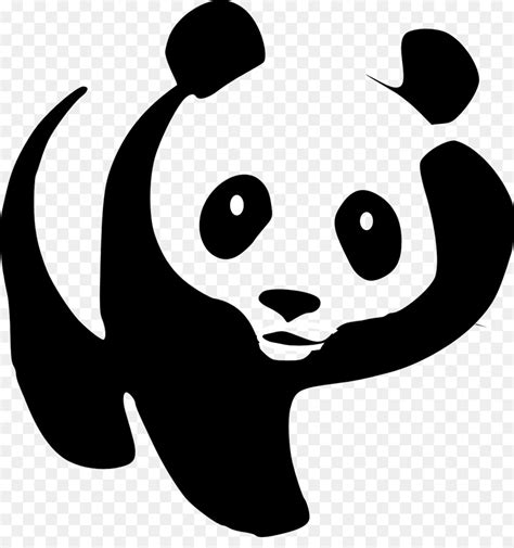 Panda Drawing Clipart Bear Illustration Face Transparent Clip Art