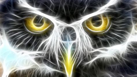🥇 Fractalius Owls Artwork Wallpaper 127134