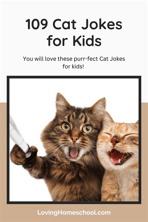 109 Cat Jokes For Kids