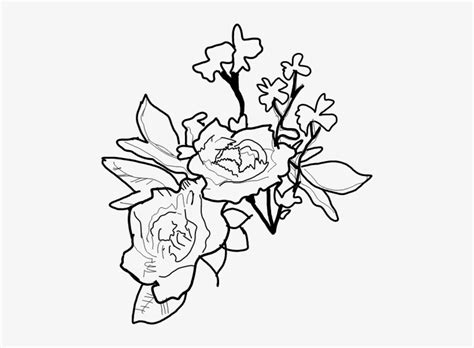 Report Abuse Shawn Mendes Flowers Drawing Png Image Transparent Png