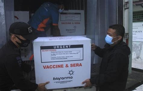 Apakah sinovac paling siap untuk vaksin corona virus 2019? Bernas.id | Berikut Rincian Pendistribusian Vaksin Sinovac di Berbagai Wilayah Indonesia