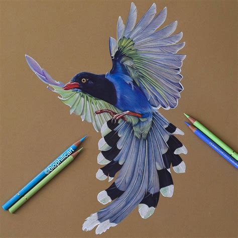 Original Colored Pencil Art Color Pencil Art Colored Pencil Artwork
