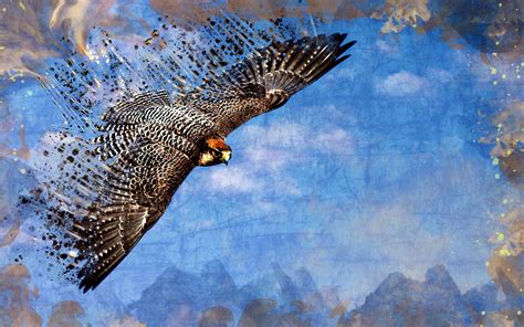 Free Falcon Backgrounds Modern Canvas Art Canvas Art Wall Decor Wall Art Sky Painting Oil