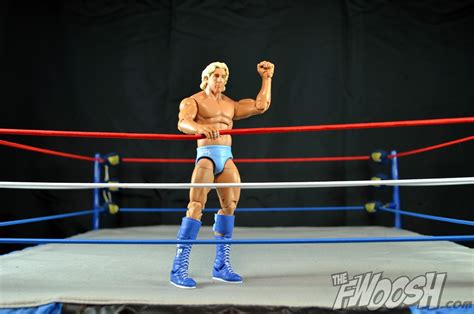 Wwe Defining Moments Ric Flair