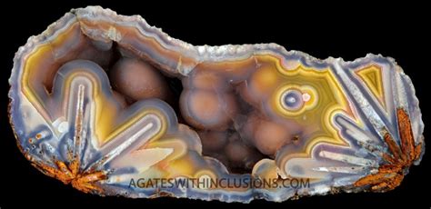 Agate Information Agates With Inclusions