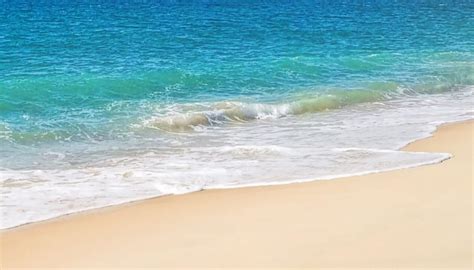 With leonardo dicaprio, daniel york, patcharawan patarakijjanon, virginie ledoyen. 10 beaches you need to hit this summer | Newshub