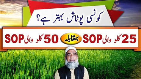 Difference Between Different Types Of Sop Fertilizers Crop Reformer