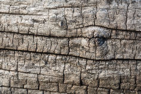 Dry Wood Texture Copyright Free Photo By M Vorel Libreshot