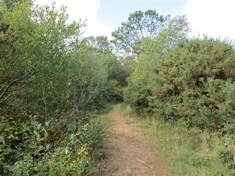 The East Devon Way East Budleigh Common Jonathan Thacker Geograph Britain And Ireland