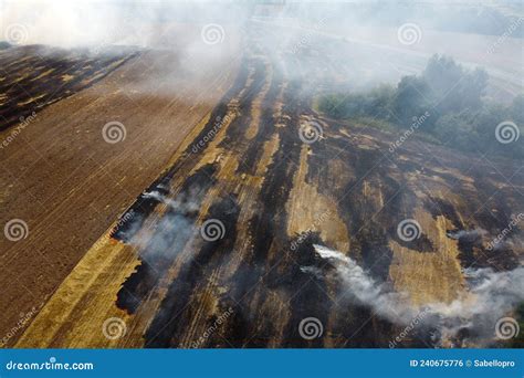 Aerial View Of Burning Stubble In A Farm Field Stock Photo Image Of
