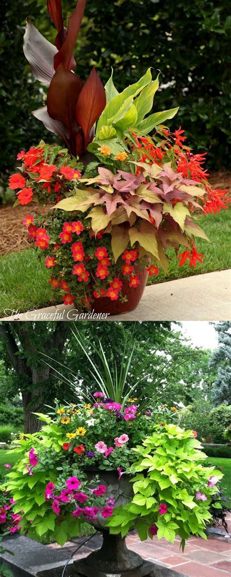 24 Stunning Container Garden Planting Ideas Front Porch