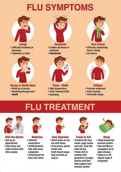 Flu Symptoms Poster Seton