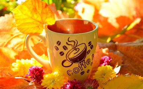 Wallpaper Coffee Cup Yellow Leaves Flowers Autumn
