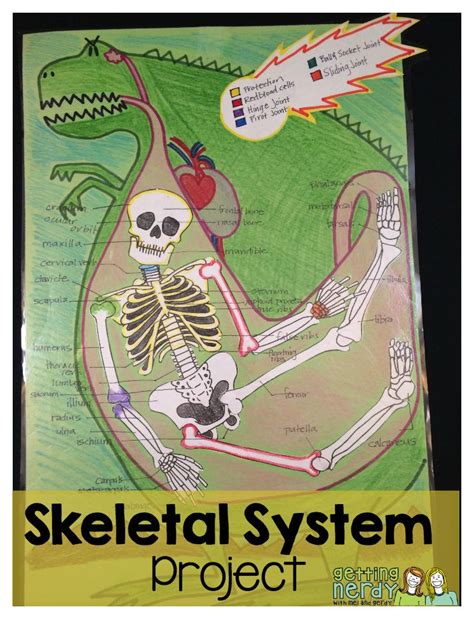 Explore The Wonders Of The Skeletal System With A Creative Project