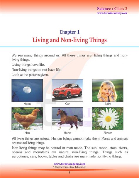 Ncert Solutions For Class 3 Science Chapter 1 Living Non Living Things