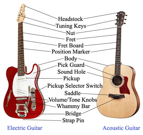 Learn vocabulary, terms and more with flashcards, games and other study tools. Beginning Guitar: June 2013
