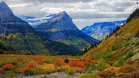 Color Rocky Mountains Montana Autumn Glacier National Park Plants