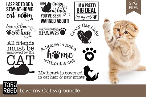 Love My Cat Svg Bundle ~ Illustrations ~ Creative Market