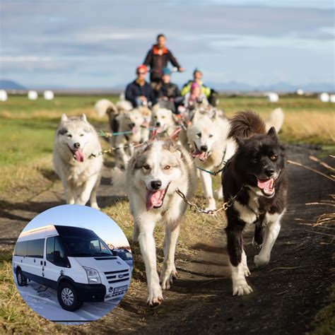 Best Husky Dog Sledding Tours In Iceland Guide To Iceland