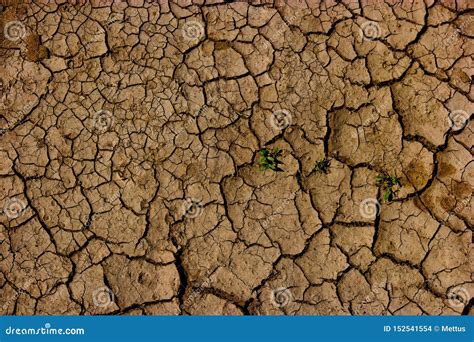 Cracked Soil Earth Global Warming Drought In Africa Cracked Mud
