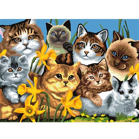 Painting by number cat head in rainbow colors. Cats Montage Large Paint By Numbers - Royal & Langnickel ...