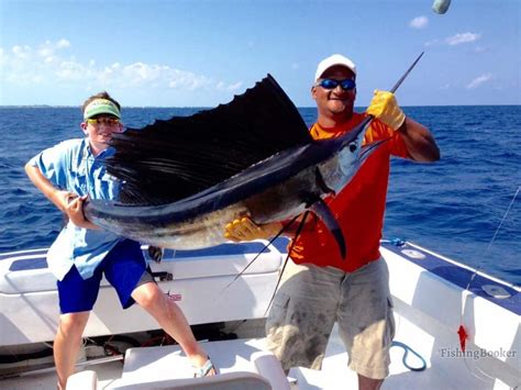 Belize Fishing Sailfish Fishingbooker Blog