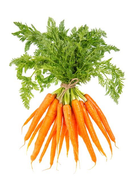 Carrots, Bunch - StayHome.store
