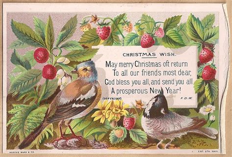 Public Domain Vintage Birthday Card Birds And Florals Free Vintage