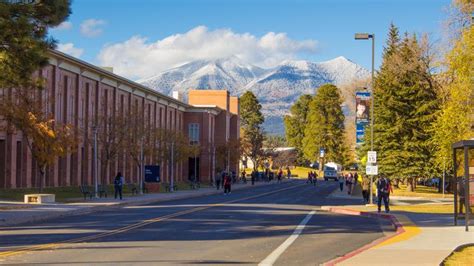 Northern Arizona University Cline Library Discover Flagstaff