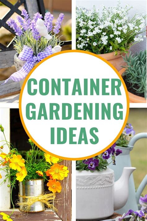 Container Gardening Ideas For Beginners In 2020 Container Gardening