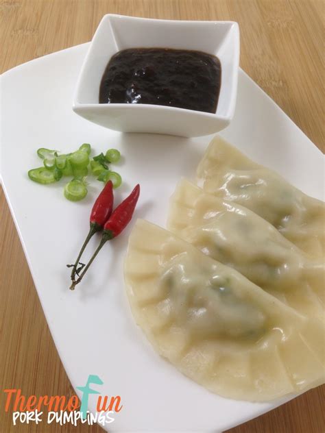 Thermofun Steam Pork Dumplings Recipe Thermofun Making Decadent