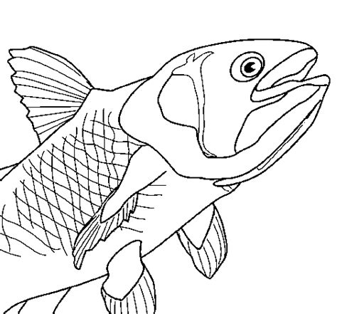 Fish 7 coloring page - Coloringcrew.com