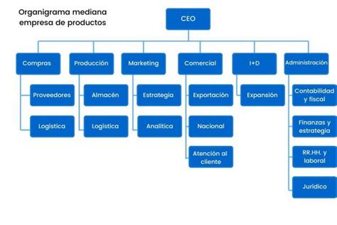 C Mo Hacer Un Organigrama En Word Business And Cash I